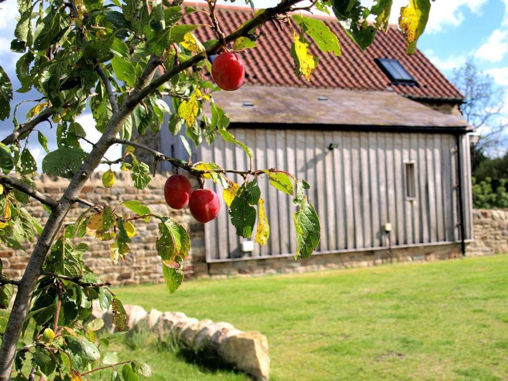 Plum Tree Cottage Witton le Wear Εξωτερικό φωτογραφία
