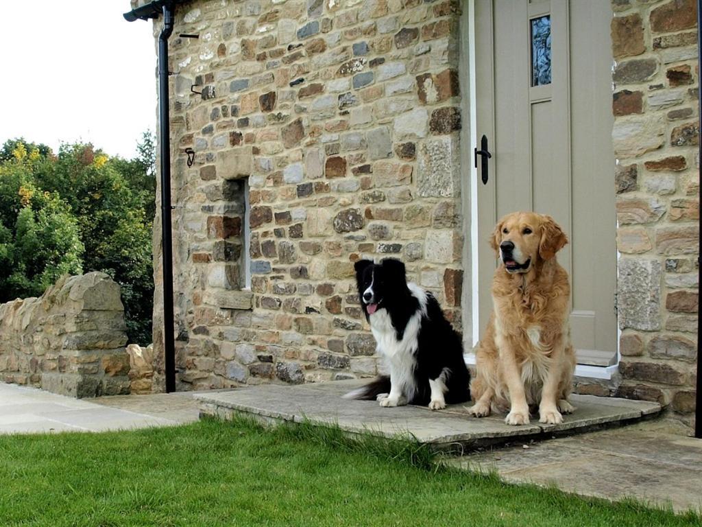 Plum Tree Cottage Witton le Wear Δωμάτιο φωτογραφία